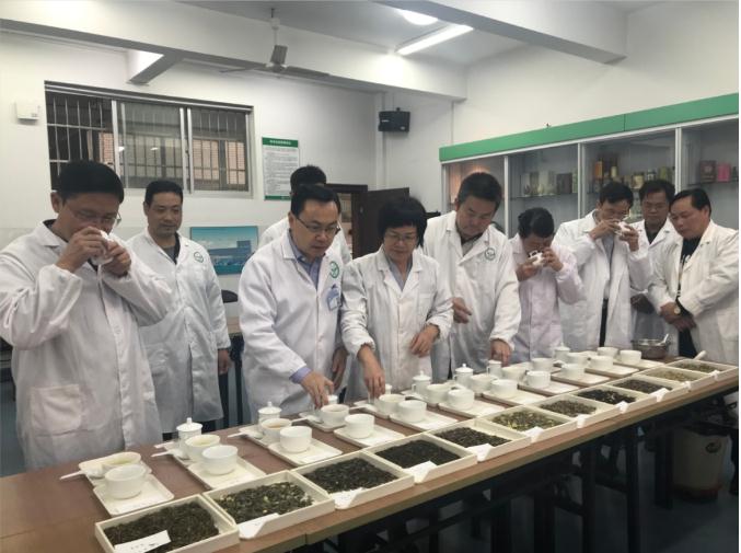 瀟湘茶業(yè)開展花茶審評(píng)和座談會(huì)，劉仲華院士等專家共謀花茶產(chǎn)業(yè)發(fā)展
