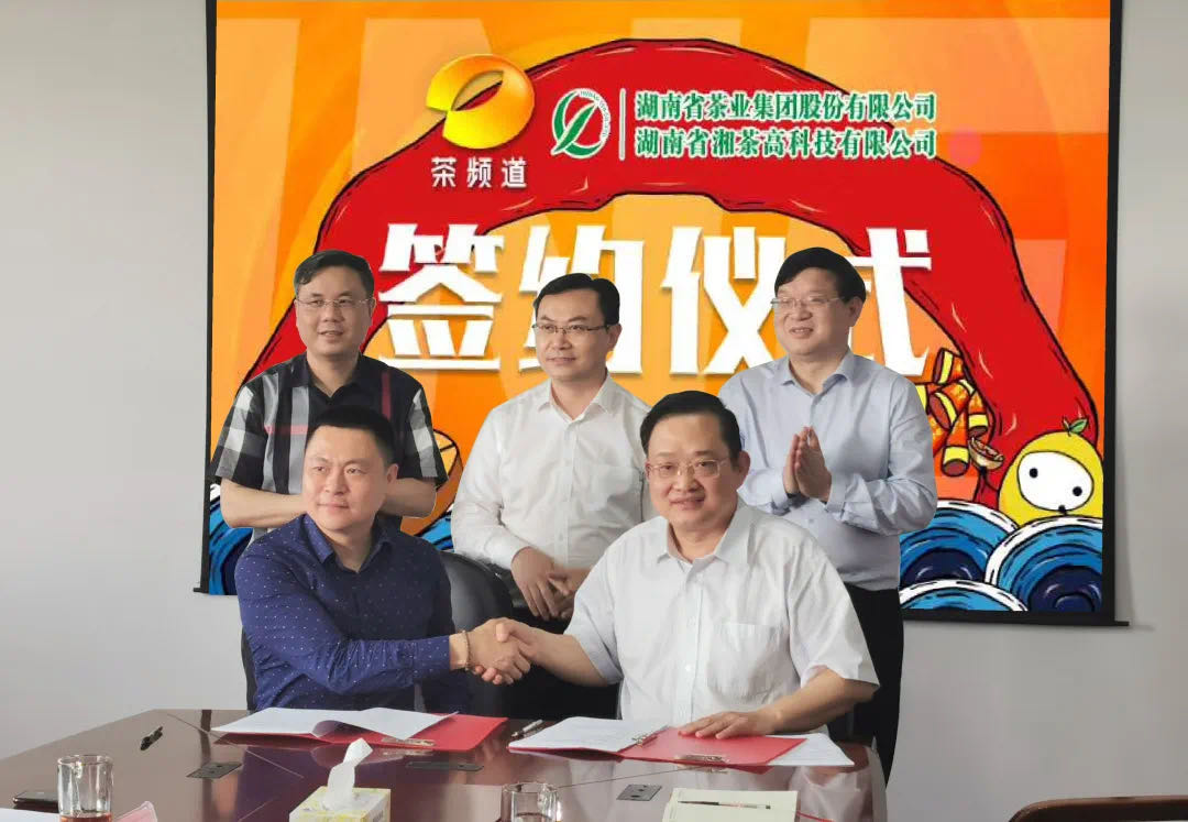 院士見證，輕輕茶發(fā)力品牌建設(shè)，與茶頻道達成深度合作