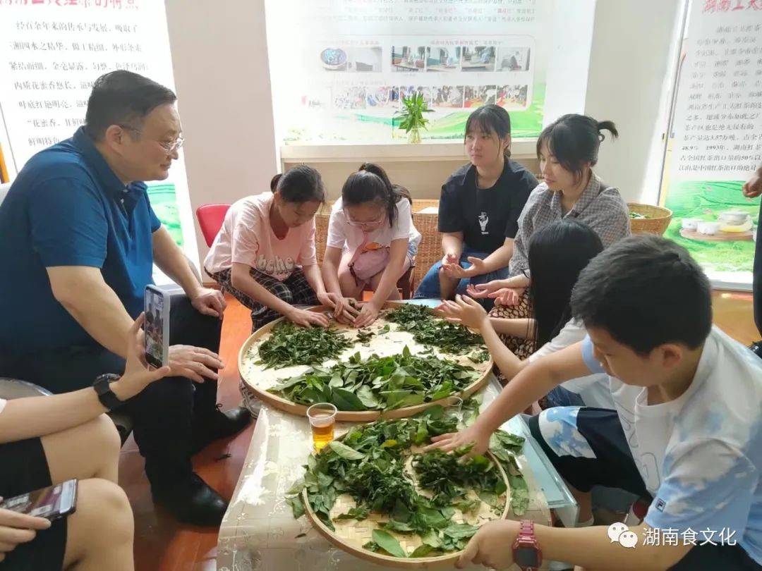 原載人民日?qǐng)?bào)“人民視點(diǎn)”茶葉是怎樣做出來(lái)的？湖南大、中、小學(xué)生體驗(yàn)湖南工夫紅茶制作